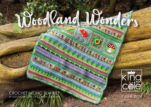 King Cole Woodland Wonders Crochet-Along (CAL) Big Value DK Yarn & Hook Pack