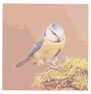 https://images.esellerpro.com/2278/I/200/873/habypro-cross-stitch-blue-tit-front-image.jpg
