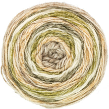 Load image into Gallery viewer, https://images.esellerpro.com/2278/I/208/141/king-cole-harvest-dk-knitting-yarn-wool-5205-woodland.jpg