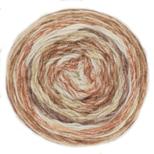 Load image into Gallery viewer, https://images.esellerpro.com/2278/I/208/141/king-cole-harvest-dk-knitting-yarn-wool-5214-autumn-leaf-1.jpg