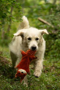 Petface Saffia Squirrel Crinkle & Squeak Dog Toy