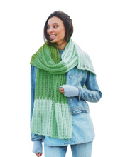 Load image into Gallery viewer, UKHKA 250 Double Knit Knitting Pattern Ladies Accessories Snoods,Scarf &amp; Shawl