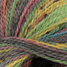 Load image into Gallery viewer, King Cole Homespun Prism DK (Summer Meadow 5181)