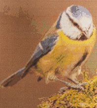 Load image into Gallery viewer, Habypro Cross Stitch Chart Only (Blue Tit)