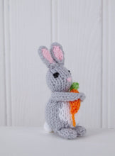 Load image into Gallery viewer, King Cole Springtime Knits Book 2 Enchanted Houses &amp; Easter Friends