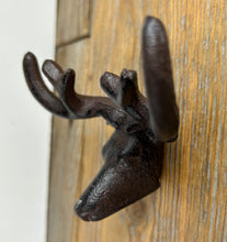 Load image into Gallery viewer, Cast Iron Novelty Door or Drawer Handles (3 Designs)