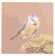 Load image into Gallery viewer, Habypro Cross Stitch Chart Only (Blue Tit)