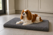 Load image into Gallery viewer, Grey Noodle Fibre Mat Absorbent Washable Dog Mattress (3 Sizes)
