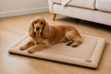 Load image into Gallery viewer, Gor Pets Suede &amp; Faux Fur Nordic Crate Mat (Brown or Grey)