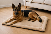 Load image into Gallery viewer, Gor Pets Suede &amp; Faux Fur Nordic Crate Mat (Brown or Grey)