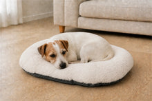 Load image into Gallery viewer, Gor Pets Suede &amp; Faux Fur Nordic Oval Cushion (Brown or Grey)
