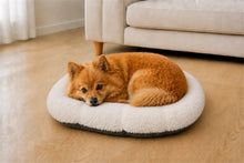 Load image into Gallery viewer, Gor Pets Suede &amp; Faux Fur Nordic Oval Cushion (Brown or Grey)