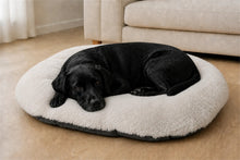 Load image into Gallery viewer, Gor Pets Suede &amp; Faux Fur Nordic Oval Cushion (Brown or Grey)
