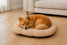 Load image into Gallery viewer, Gor Pets Suede &amp; Faux Fur Nordic Oval Cushion (Brown or Grey)