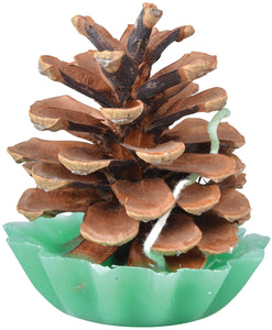 Heavy Duty Log Carrier & Pack of 10 Pinecone Fire Starters
