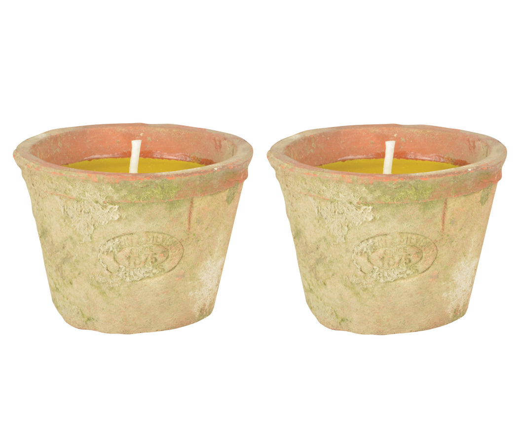 https://images.esellerpro.com/2278/I/193/148/FF254-citronella-candle-terracotta-pot-kit-2.jpg