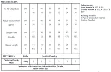 Load image into Gallery viewer, James Brett Chunky Knitting Pattern - Children&#39;s Lion or Giraffe Hoodie (JB833)