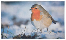 Load image into Gallery viewer, Robin Printed Winter Welcome Mat with PVC Backing Easy Clean (75cmx45cm)