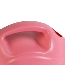 Load image into Gallery viewer, https://images.esellerpro.com/2278/I/133/190/TG229-novelty-pink-flamingo-watering-can-garden-plants-close-up-2.jpg