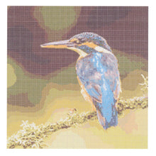 Load image into Gallery viewer, https://images.esellerpro.com/2278/I/200/870/habypro-cross-stitch-kingfisher-front-image.jpg