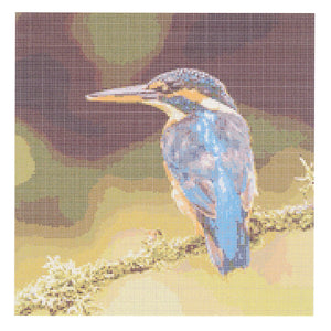 https://images.esellerpro.com/2278/I/200/870/habypro-cross-stitch-kingfisher-front-image.jpg
