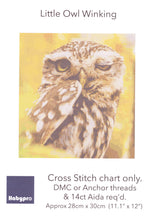 Load image into Gallery viewer, https://images.esellerpro.com/2278/I/200/874/habypro-cross-stitch-little-owl-winking-front.jpg