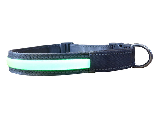 Bright LED Dog Collar with 3 Light Settings (Large)